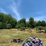 Podere Del Piccini Con Piscina In Val D Orcia Toscana